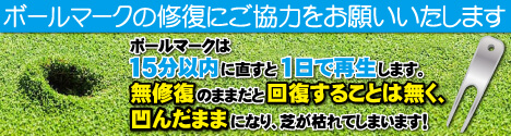 ボールマーク修復にご協力をお願い致します。
